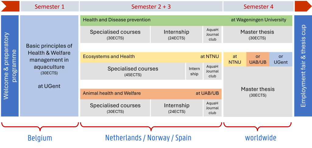 Learning path