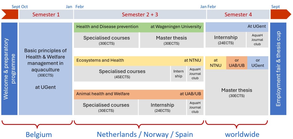 Schema aquah